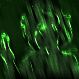 9 September 2023 - Archivist (TMA)